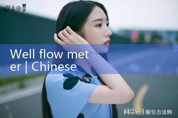 well flow meter|rotameter flow meter