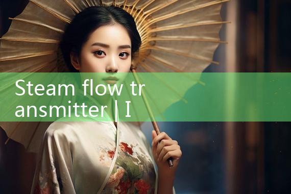 steam flow transmitter|rotameter flow meter