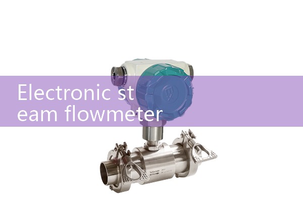 Electronic steam flowmeter