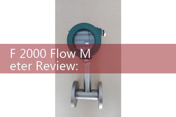 F 2000 Flow Meter Review: Blue-White Digital Paddlewheel Flowmeter Field Setup