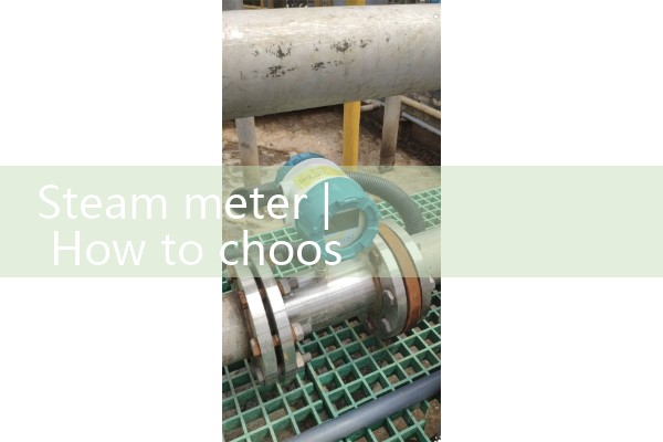steam meter