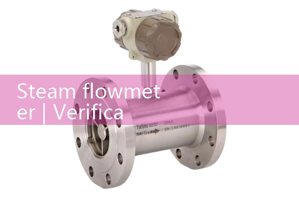 Steam flowmeter