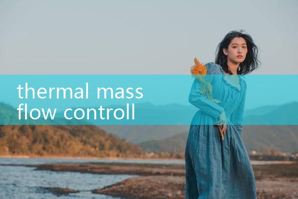 thermal mass flow controller|mass flow meter