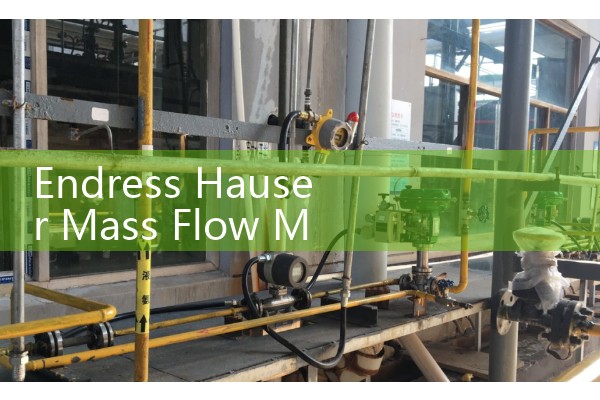 Endress Hauser Mass Flow Meter Technology: High-Accuracy Density, Temp, and Mass Outputs