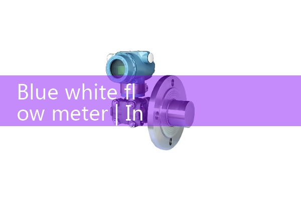 blue white flow meter