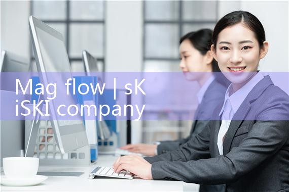 mag flow|rotameter flow meter