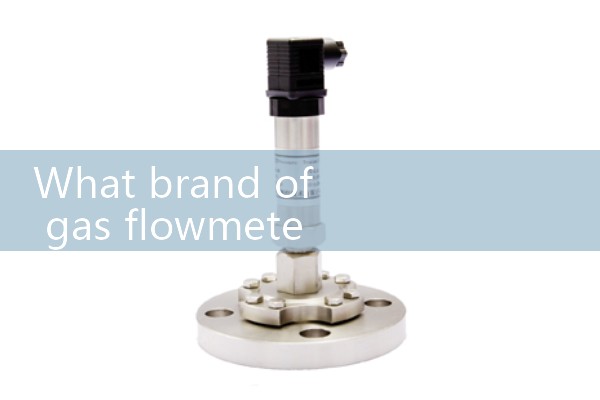 Steam vortex flowmeter