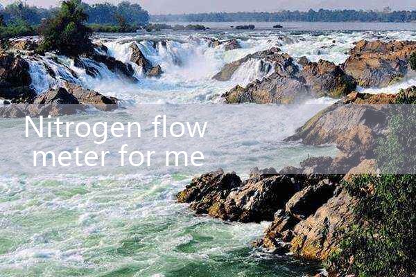 vortex flow meter DN32|mass flow meter