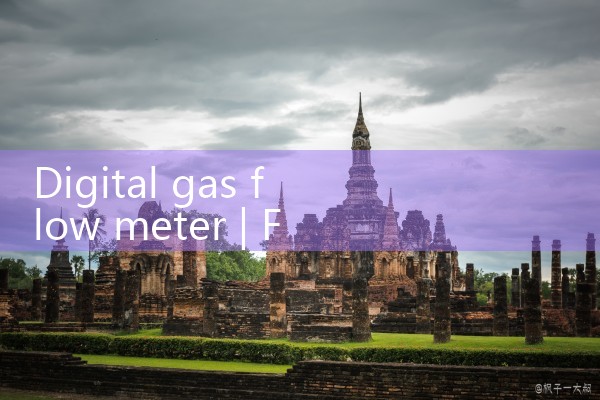 digital gas flow meter|thermal flow meter