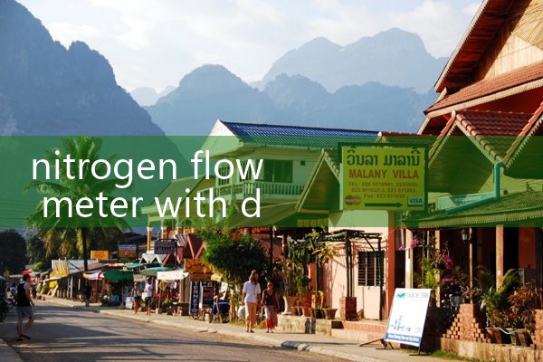 nitrogen flow meter with data logger|flow meter distributor