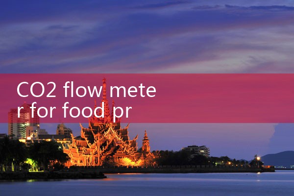 CO2 flow meter for food processing|thermal flow meter