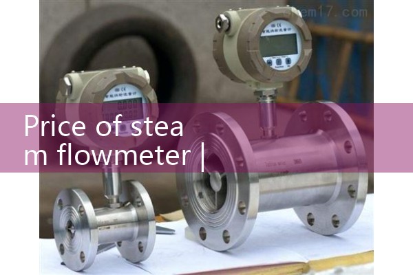 Price of steam flowmeter