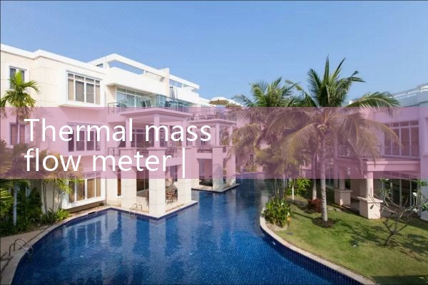 thermal mass flow meter|thermal flow meter