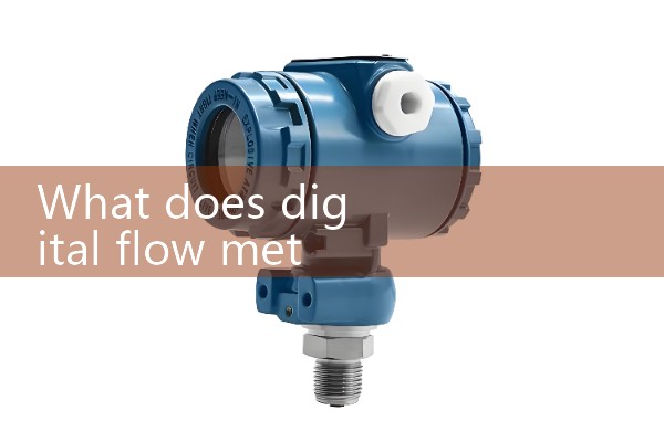 digital flow meter