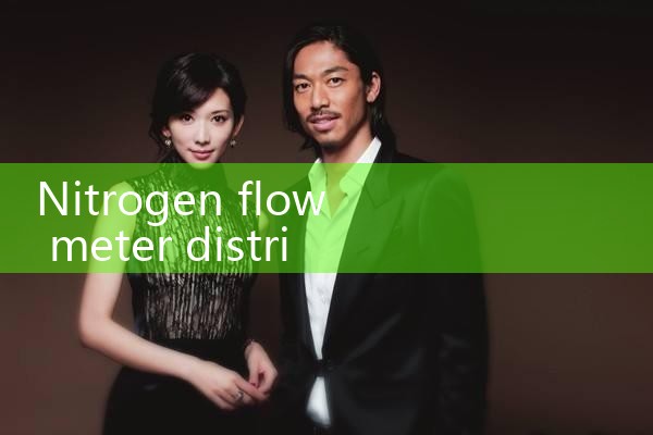 nitrogen flow meter distributor|flow meter distributor