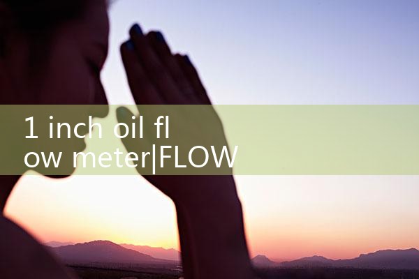 1 inch oil flow meter|balo meter