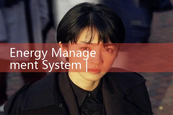 energy management system|thermal flow meter