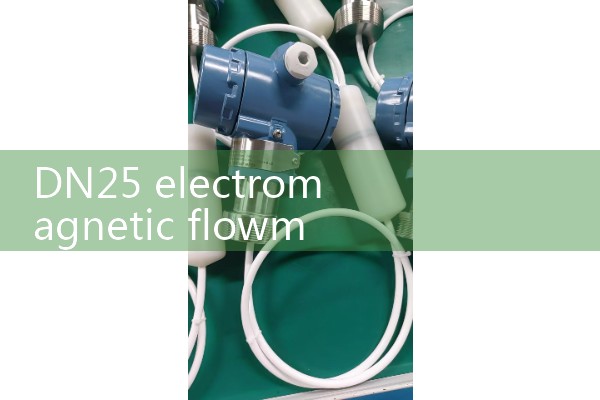 DN25 electromagnetic flowmeter