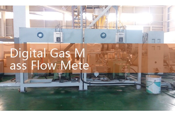 Digital gas mass flowmeter