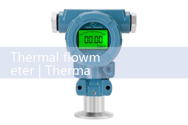 Thermal flowmeter