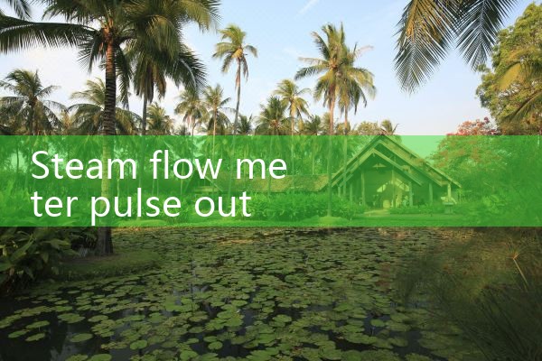 steam flow meter pulse output|balo meter