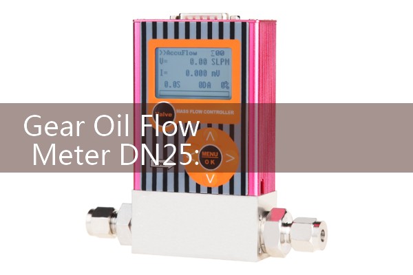 Gear Oil Flow Meter DN25: Surviving Extreme High-Pressure System Lines