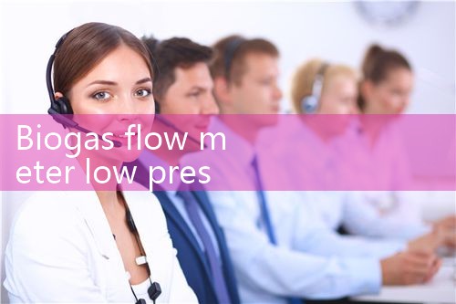 biogas flow meter low pressure|flow meter distributor
