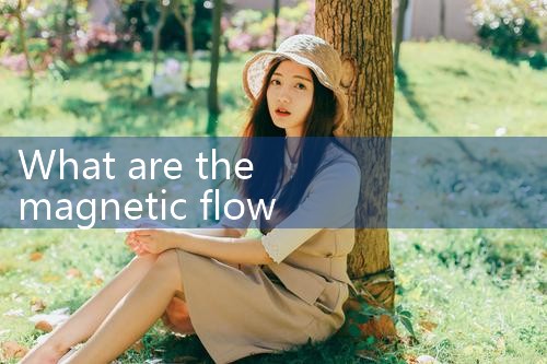 magnetic flow sensor|rotameter flow meter