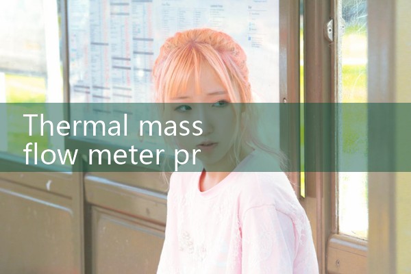 thermal mass flow meter principle|rotameter flow meter
