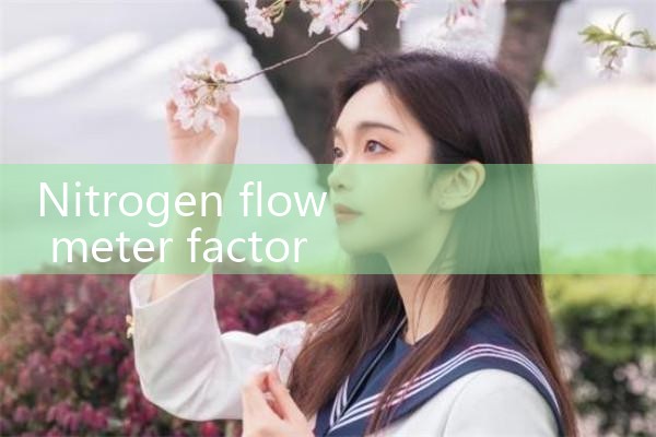 nitrogen flow meter factory|flow meter distributor