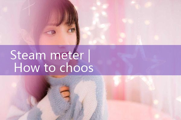 steam meter|balo meter
