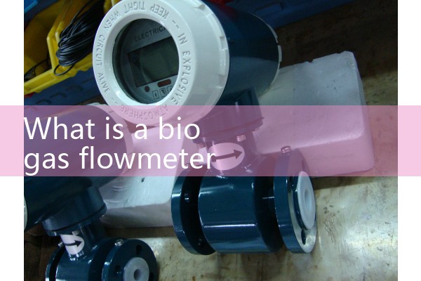 Water vapor flowmeter