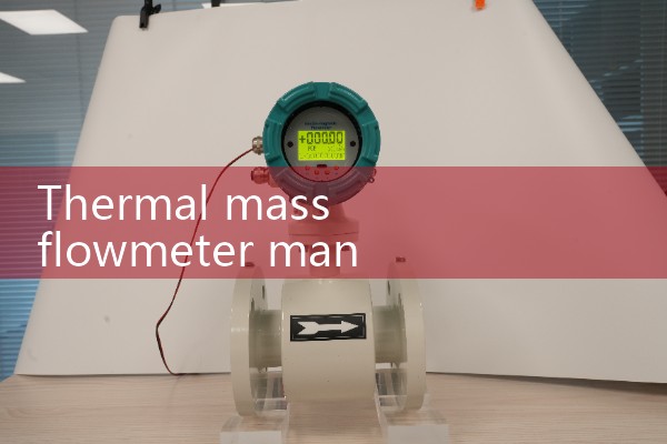Thermal mass flowmeter manufacturer