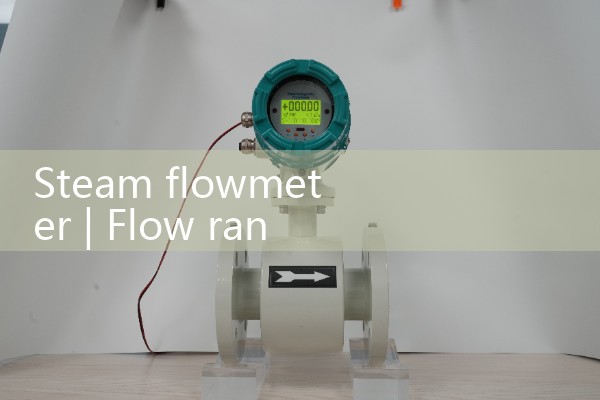 Steam flow meter
