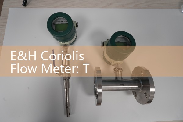 E&H Coriolis Flow Meter: Technical overview of Promass series mass measurement.