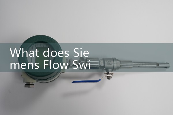 siemens flow switch