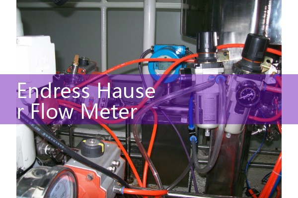 Endress Hauser Flow Meter Promag 53 Troubleshooting: Fixing Coil Current and Electrode Errors