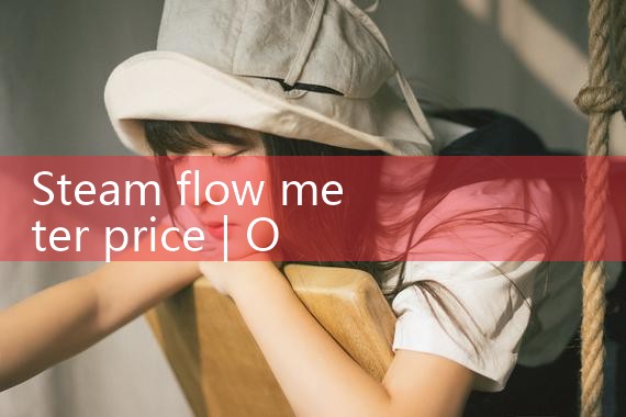 steam flow meter price|rotameter flow meter