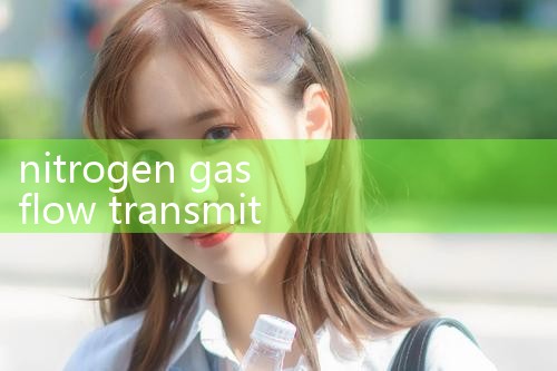 nitrogen gas flow transmitter|flow meter distributor