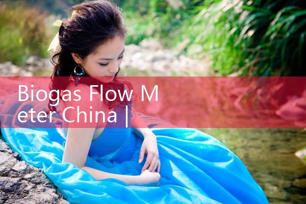 biogas flow meter China|thermal flow meter