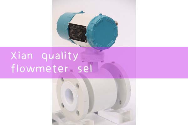 Xian Quality Flow Meter Selection Manufacturer