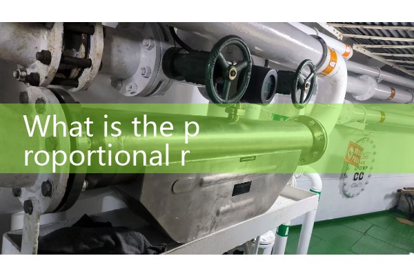 Explosion proof flowmeter