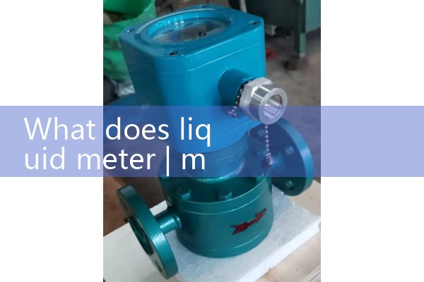 liquid meter