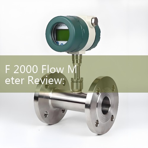 F 2000 Flow Meter Review: Blue-White Digital Paddlewheel Flowmeter Field Setup