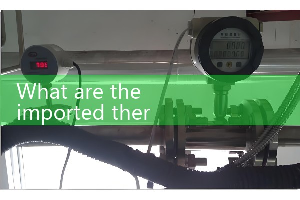 Imported thermal mass flowmeter