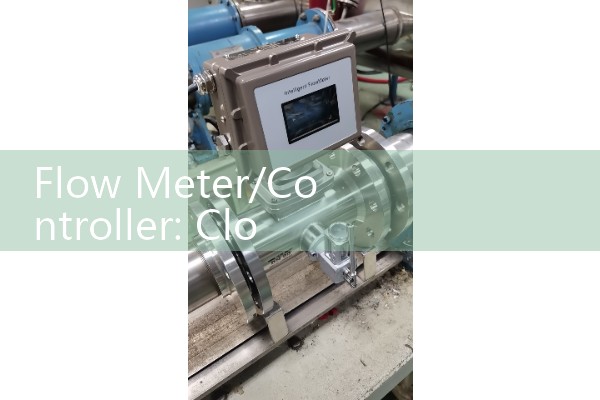 Oxygen vortex flowmeter