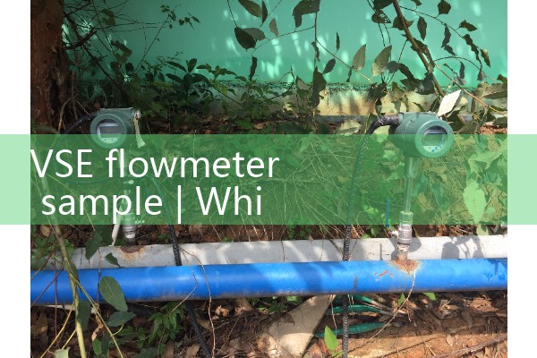 VSE flowmeter sample