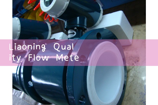 Liaoning Quality Flow Meter Manufacturer