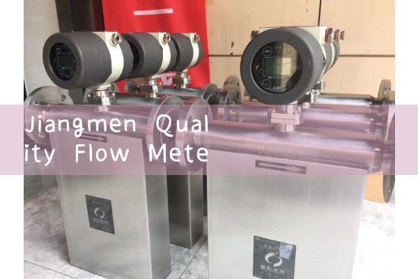 Jiangmen Quality Flow Meter Wholesale Manufacturer