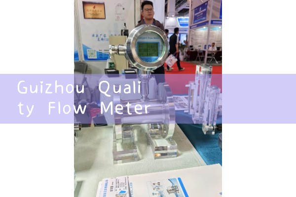 Guizhou Quality Flow Meter Manufacturer